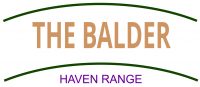 The Balder Logo